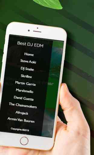 Best DJ EDM 2