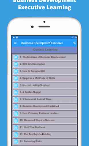 Business Development Executive Learning 1