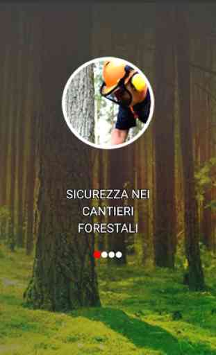 Cantieri forestali sicuri 1