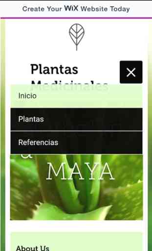 Cultura Maya Plantas 2