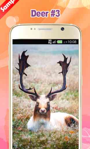Deer Wallpaper 4