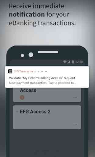 EFG Access 1