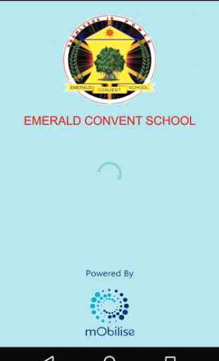 Emerald Convent School 1