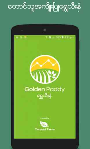 Golden Paddy 1