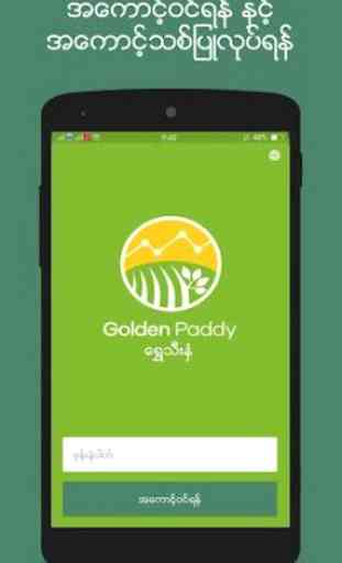 Golden Paddy 2