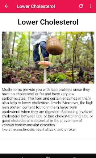 Health Benefits Of Mushrooms 3