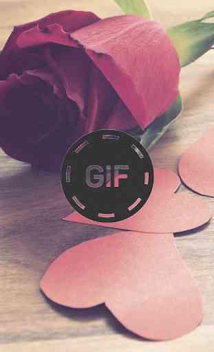 Immagini animate di fiori e rose Gif 1