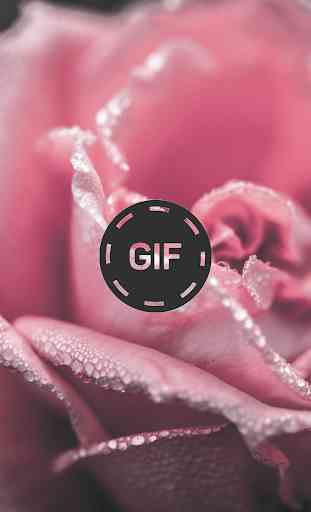 Immagini animate di fiori e rose Gif 2