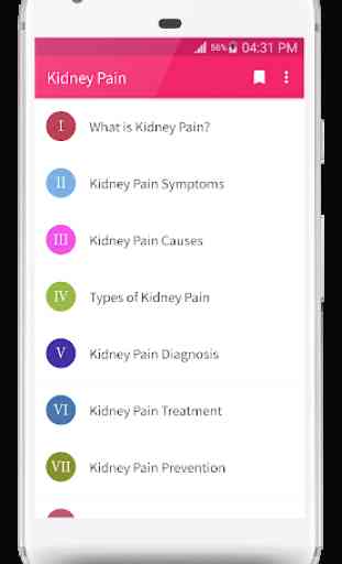 Kidney Pain Symptoms and Treatment 1