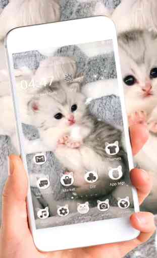 Lovely Cute Cat Live Launcher Theme  2