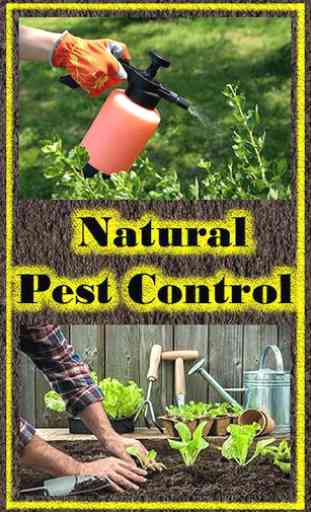 Natural Pest Control 1