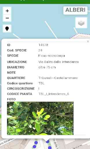 Palermo TreeCityMap 2