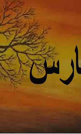 Paras Urdu Novel by Nimrah Ahmed - Complete 2