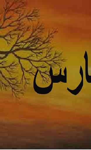 Paras Urdu Novel by Nimrah Ahmed - Complete 3