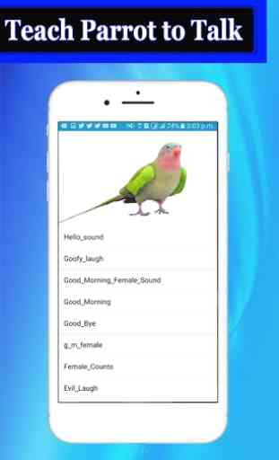Parrot Speech - Teach Parrot to talk, Mimic Sound 4