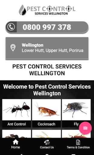 Pest Control Services 2