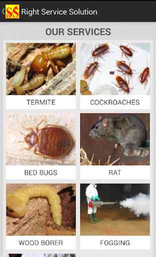 Pest Control Solution 3