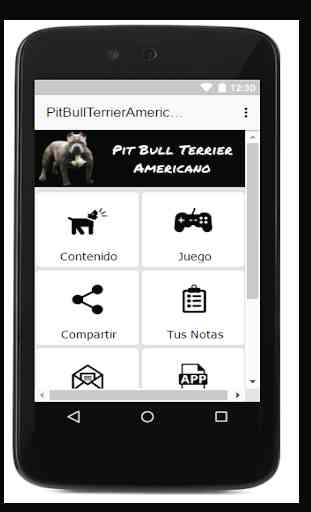 Pit Bull Terrier Americano 1