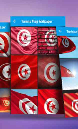 Tunisia Flag Wallpaper 1