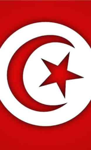 Tunisia Flag Wallpaper 4
