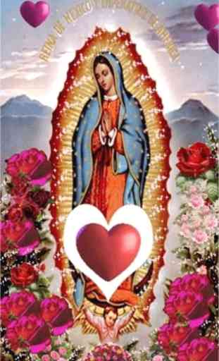 Virgen De Guadalupe Amor Fondo Animado 1