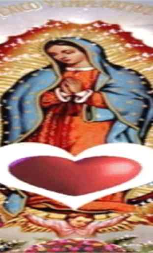 Virgen De Guadalupe Amor Fondo Animado 3