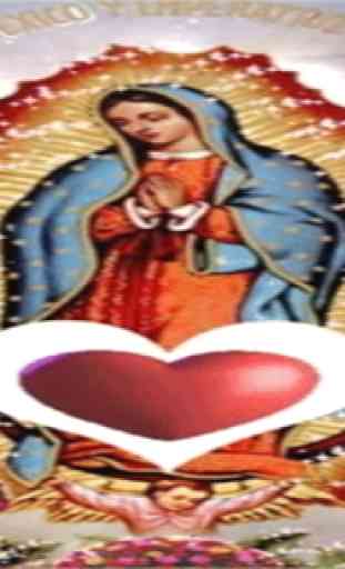 Virgen De Guadalupe Amor Fondo Animado 4