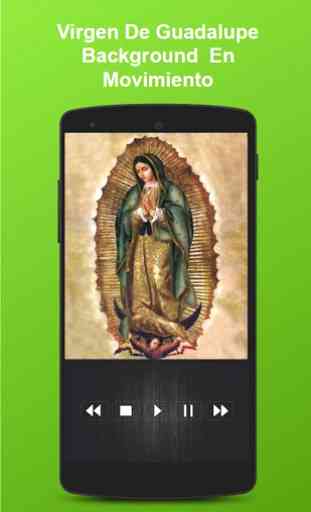 Virgen De Guadalupe Background En Movimiento 1