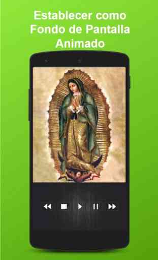 Virgen De Guadalupe Background En Movimiento 2