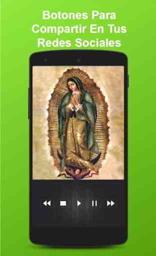 Virgen De Guadalupe Background En Movimiento 3