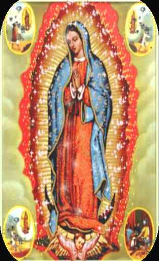 Virgen De Guadalupe Brillante Fondo En Movimiento 1