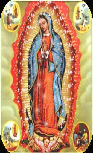 Virgen De Guadalupe Brillante Fondo En Movimiento 2