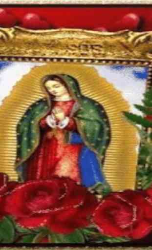 Virgen De Guadalupe Cumpleaños Fondo Animado 3