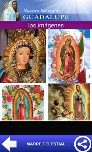 VIRGEN GUADALUPE MEXICO 3