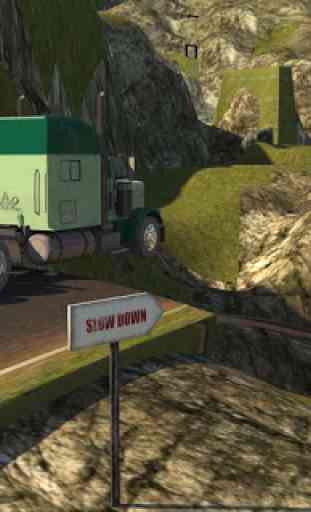 camion autista libero - Truck 4