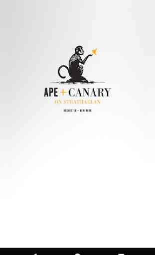 Ape & Canary 1