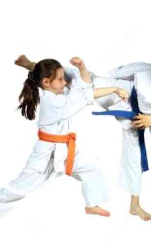 Best Karate Technique 2