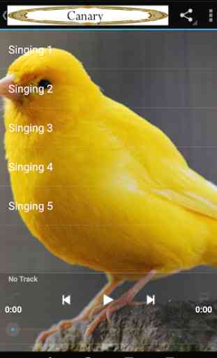 Canary singing 2