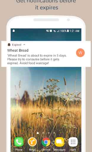Expired - Grocery Reminder & Alerts App 2