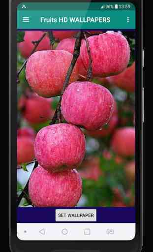 Fruits HD Wallpapers 1