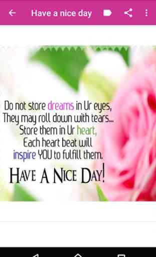 Have a Nice Day 4