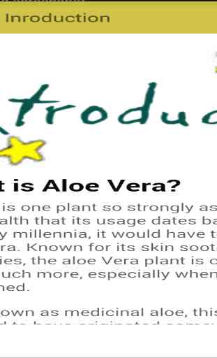 Health Benefits of Aloe Vera 3