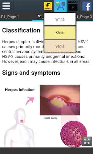 Herpes Info 3
