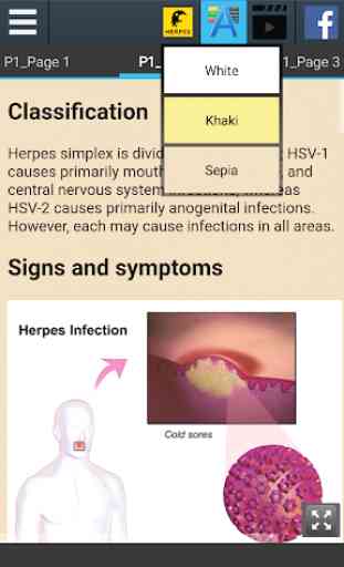 Herpes Info 4