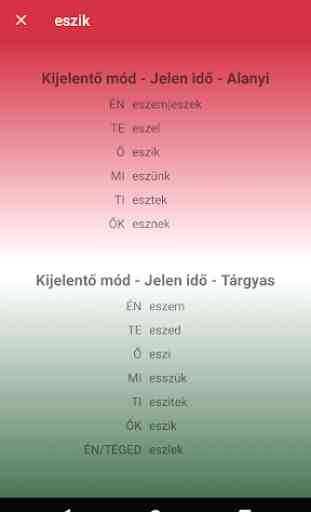 Hungarian Conjugation 4