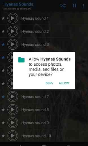 Hyenas Sounds ~ Sboard.pro 2