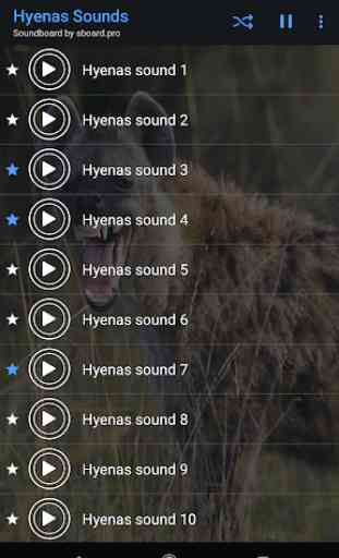 Hyenas Sounds ~ Sboard.pro 4