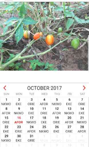 Igbo Calendar 1