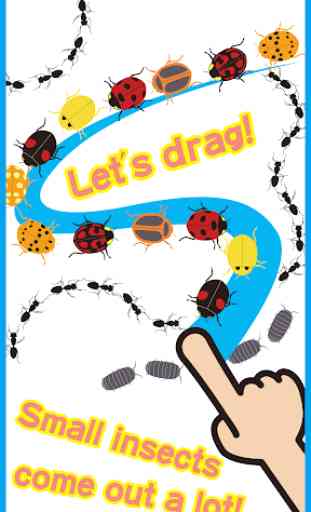Insect Paradise! Moving draw 2 2