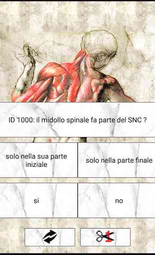 L'Anatomista il quiz Italiano di anatomia 2
